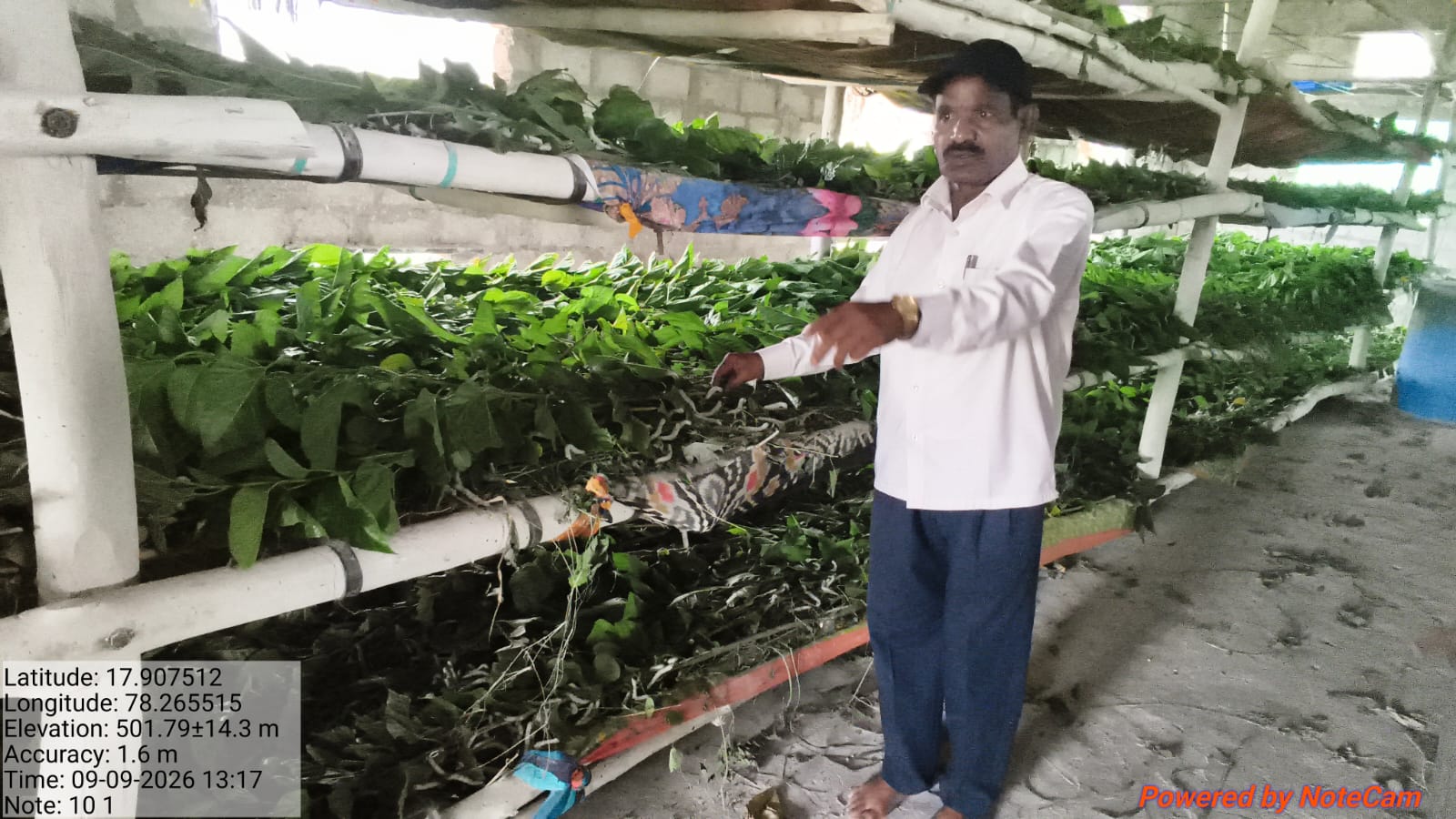 పట్టు పరిశ్రమ ద్వారా అధిక లాభాలు: ఏఎస్ఓ లింగం మెదక్,